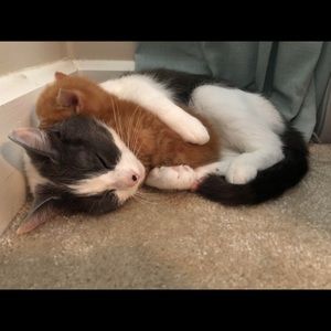 Meet your Posher, Will